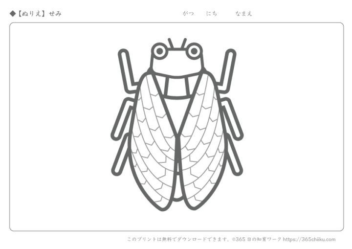 無料ぬりえ せみ 365日の知育ワーク
