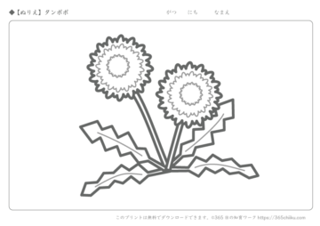 無料ぬりえ ひまわり 365日の知育ワーク