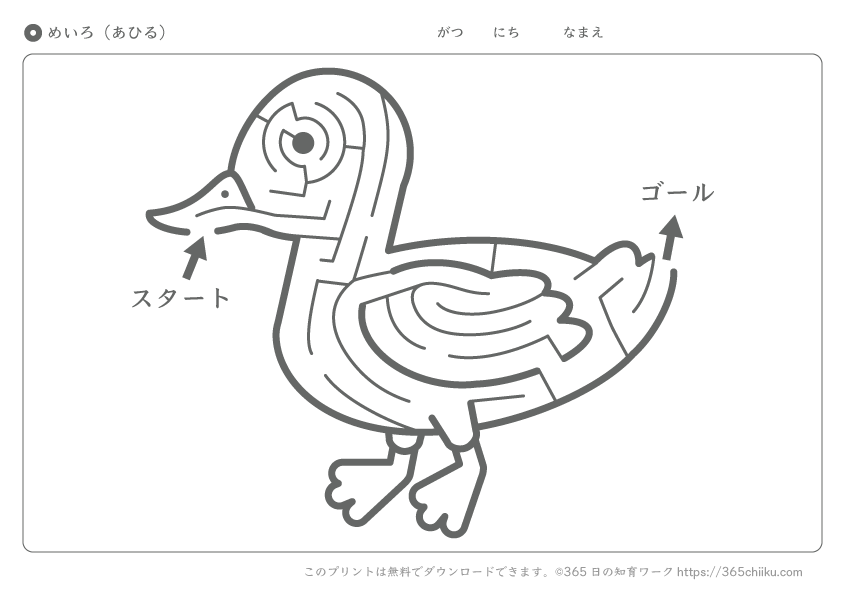 知育プリント イラスト迷路 あひる 365日の知育ワーク