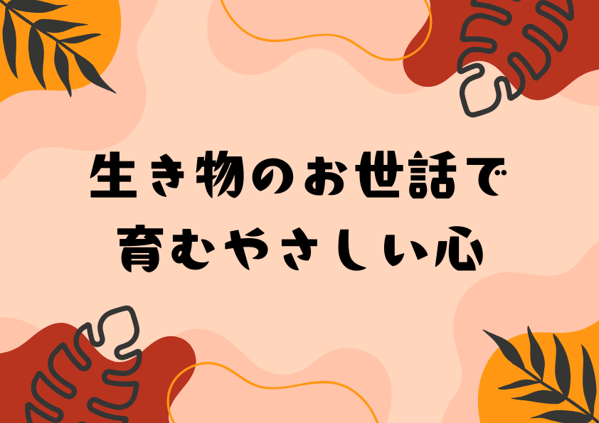生き物のお世話で育むやさしい心